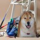 thumbnail image 3 of Shiba Inu Mochila de Cuerdas para Deportes y Gimnasio, Bolsa de Cuerdas Resistente al Agua, Bolsa Cinch, 30×40cm, 3 of 6