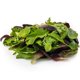 thumbnail image 2 of Ensalada Summer mix Caja, 150 gr, 2 of 2
