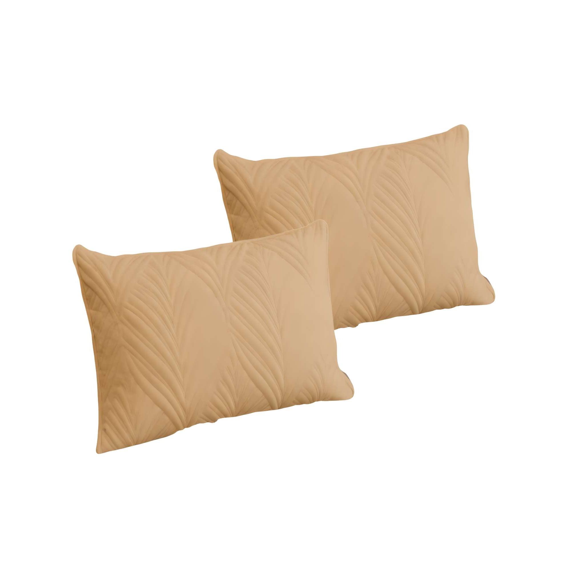 Genérico - Pack De 2 Fundas De Cojin Serie Hojas 30x50 Cm Café