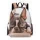 thumbnail image 1 of Mochila Desmarcar Boston Terrier 42x30x15cm, 1 of 6