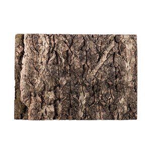 Ioensy - Fondo De Corteza De Reptil Decoración De Pared Textura Rugosa Para Decoración De Jardín 26Cm X 18Cm