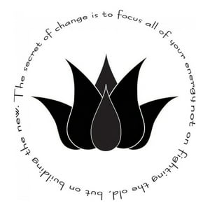 Rienda Libre Graphics - Decomural The Secret Of Change Lotus Flower Ws-44129