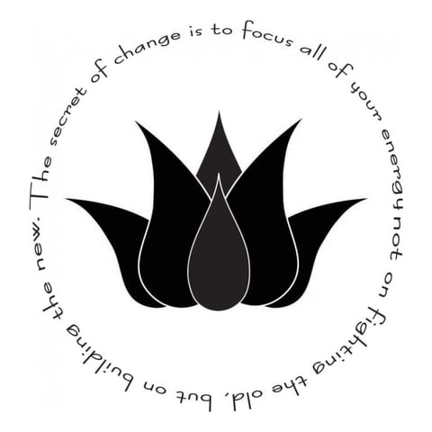Rienda Libre Graphics - Decomural The Secret Of Change Lotus Flower Ws-44129