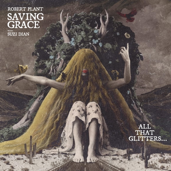 Libro Saving Grace: Todo lo que brilla... con Suzi Dian