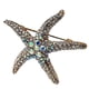 thumbnail image 1 of Broche Prendedor Acero Estrella de Mar Plateado, 1 of 2