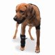 thumbnail image 2 of Venda Terapéutica para Muñeca Pet Therapy Caldera Grande Gel Negro, 2 of 6