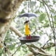 thumbnail image 4 of Bebedero De Colibrí En Forma De Paraguas Con Figura, 4 of 7
