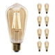 thumbnail image 1 of Bombilla LED Feit Electric ST19 Vintage Edison 60W 2100K, 1 of 6