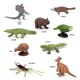 thumbnail image 4 of Colección TOOB de Toy Figures Safari Ltd., continente australiano, 4 of 6