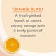 thumbnail image 4 of Ambientador en aerosol Citrus Magic, eliminador de olores, naranja, 90 ml x 3, 4 of 7