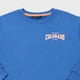thumbnail image 3 of Poleron Niño Teen Pullover Azul Corona, 3 of 5