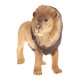 thumbnail image 4 of Figuras De Animales De Simulación Modelo Juguetes Educativos Para Ni?os Regalos León Masculino 2, 4 of 5