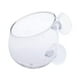 thumbnail image 3 of Taza Colgante De Vidrio Para Plantas De Acuario, Maceta De Cultivo De Plantas Pequeñas, Decoración Para Pecera, 3 of 5