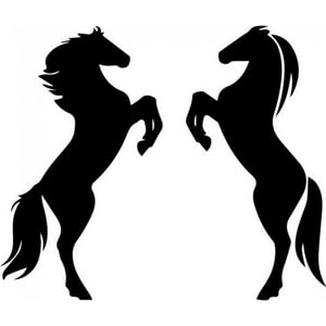 Rienda Libre Graphics - Decomural Two Horses Kids Bedroom Ws-32599