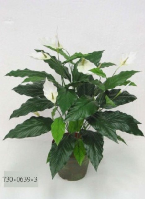 Corel - Planta Decorativa Spatiphilium 89 Cm