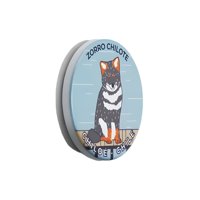 Genérico - Imán Decorativo Cerámica Recuerdo Chile