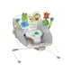 thumbnail image 3 of Silla Mecedora Vibradora Bright Starts Playful Paradise Unisex, 3 of 3