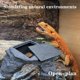 thumbnail image 3 of Escondite para reptiles Flitsvuur 33 × 30 × 13 cm de pizarra que almacena calor, 3 of 9