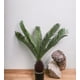 thumbnail image 3 of Planta Decorativa Palmera Cyca 110 Cm, 3 of 3