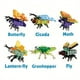 thumbnail image 4 of 12 In 1 Cute Insects Building Blocks Building Bricks Kit, Assembled 12 Models Into The Unicorn Bee Fly Butterfly Cicada Snail Educational Toys For Kids, 4 of 5