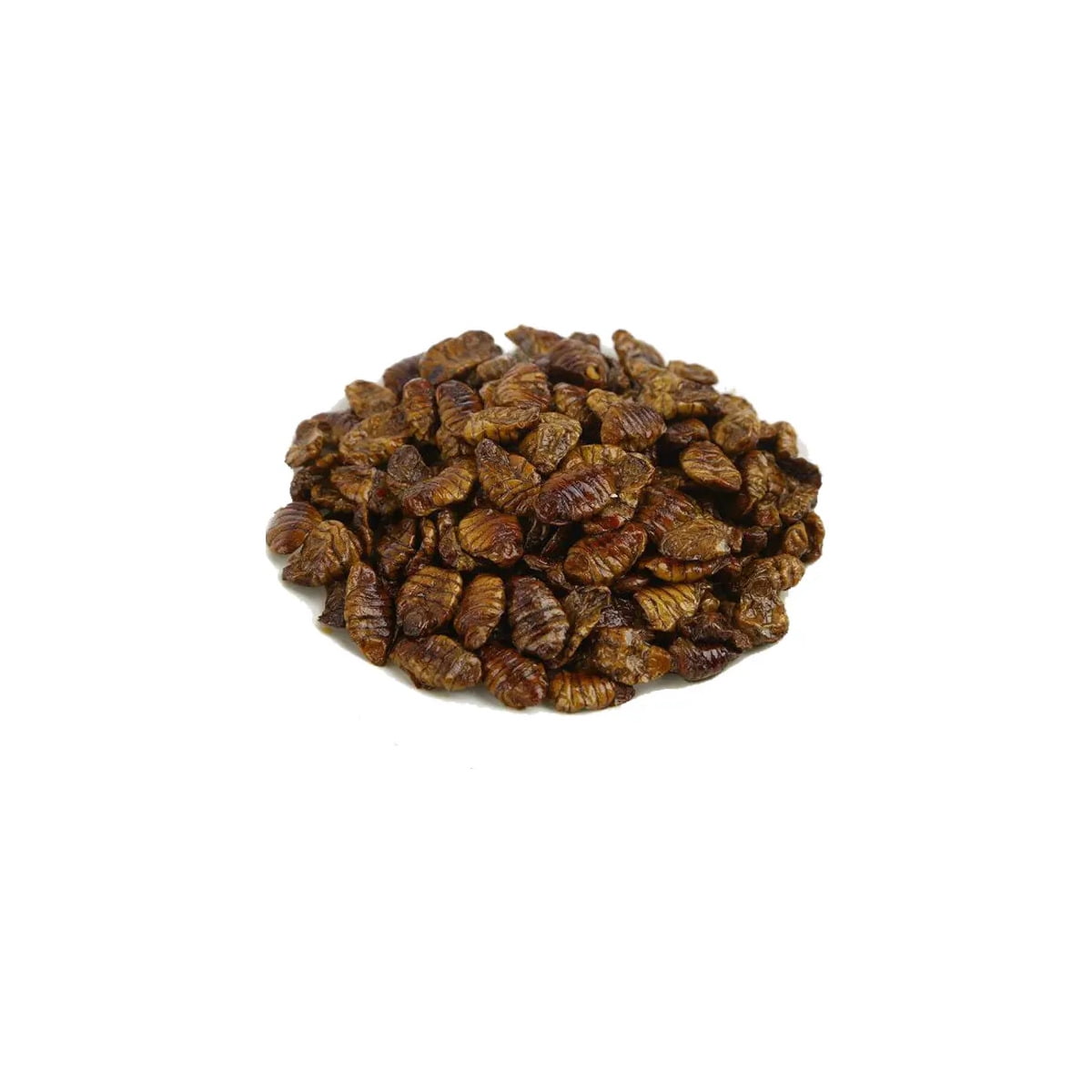 Pupas de Gusano de la Seda para Erizos Aves Reptiles 100 Gr