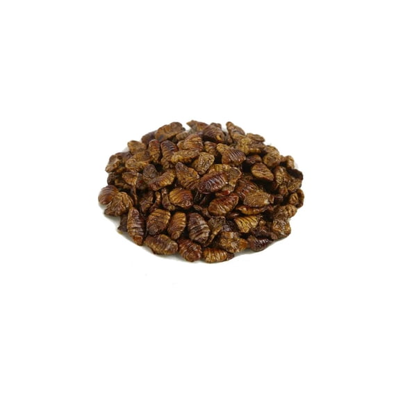 Pupas de Gusano de la Seda para Erizos Aves Reptiles 100 Gr