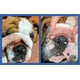 thumbnail image 3 of Pasta antiarrugas Squishface Bulldog French Bulldog Pug 60 ml, 3 of 3