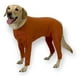 thumbnail image 1 of Body De Cobre Completo Post Quirúrgico Talla 15 (50 A 55 Kg), 1 of 6