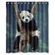 thumbnail image 1 of Cortina de ducha con diseño íntimo de pandas bebés durmiendo, juego de cortina de baño con ganchos, tamaño 60 x 72 pulgadas, 1 of 3