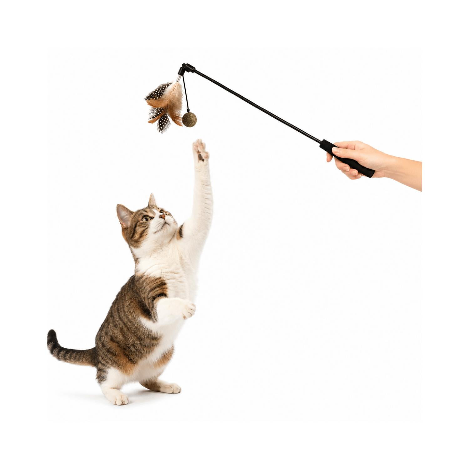 Varilla Pluma Y Bola Catnip Para Gato 50 Cm