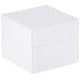 thumbnail image 4 of Dije Pandora Huellas de Patas 791714CZ para Mujer en Plata de Ley, 4 of 8