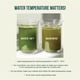 thumbnail image 2 of Tea Jade Leaf Matcha Ceremonial Orgánico, Paquetes de 100 x 1 g, 2 of 6