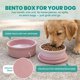 thumbnail image 5 of Tazones Portátiles para Perro KindTail 2 unidades, 32 oz, con tapa, 5 of 9