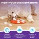 thumbnail image 2 of Juguete para enriquecer el rompecabezas Dog Smart Treat Outward Hound, naranja, 2 of 8