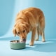 thumbnail image 2 of Plato para Perro Vibrant Life Large de 6.5 Cups en Acero Inoxidable Aislado, 2 of 3