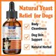 thumbnail image 3 of Suplemento En Gotas Para Infecciones Por Hongos Para Perros 60 Ml, 3 of 6