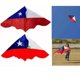 thumbnail image 2 of PACK X 4 COMETA PLÁSTICO CHILE – BIG PARTY, 2 of 3