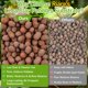 thumbnail image 5 of Bolas de arcilla expandida Riare 6 lb (2,7 kg) sustrato para reptiles 4‑16 mm, 5 of 7