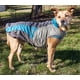 thumbnail image 3 of Abrigo Impermeable para Perro DOGHELIOS 'Lotus-Rusher', 3 of 6