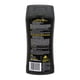 thumbnail image 3 of Restaurador de Plásticos Meguiar's Ultimate Black 355 ml, 3 of 6