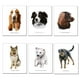 thumbnail image 1 of Set De Láminas Perros N°1, 1 of 2