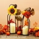 thumbnail image 5 of Farol Decor PERFNIQUE Modern Farmhouse Black Set 2, 5 of 8