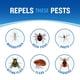 thumbnail image 5 of Repelente de Insectos Cutter Dry 10% DEET Aerosol 113 ml, 5 of 9
