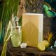 thumbnail image 2 of Perfume Paris Corner Jardin de las Mariposas 100 ml Unisex, 2 of 3