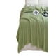 thumbnail image 2 of Frazada Manta de Plush Extra Suave, 2 of 3