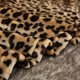 thumbnail image 4 of Manta MERRYLIFE de forro polar con diseño de leopardo 100% poliéster, 150 x 20 cm, 4 of 6