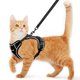 thumbnail image 1 of Arnés para gato Kaazylab a prueba de escape, 100 g, suave y ajustable, 1 of 6