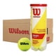 thumbnail image 2 of Caja Pelotas Tenis Wilson Champ Extra Duty 24 Tarros x3 unid, 2 of 3