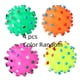 thumbnail image 1 of Dog Squeaky Ball Chew Toy - Assorted Varieties, 1 of 3