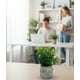 thumbnail image 3 of Set 2 Plantas Artificiales Arbusto Follaje Rústico Jhn, 3 of 3